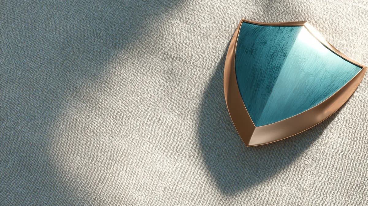 Nasilje u porodici i razvod — mere zaštite i hitni postupak